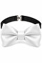 Adult Classic Satin Bow Tie