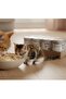 Pro Plus Kitten Premium Grain-Free Chicken Paté Wet Cat Food – 12 Cans × 400g - 7