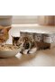 Pro Plus Kitten Premium Grain-Free Chicken Paté Wet Cat Food – 12 Cans × 400g - 3