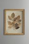 Dried Leaves - Vintage Patterned Painting - Fine Model