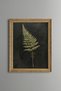Fern - Vintage Patterned Painting - Fine Model