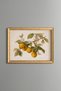 Oranges on the Branch - Vintage Patterned Painting - Fine Model