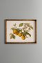 Oranges on the Branch - Vintage Patterned Painting - Fine Model