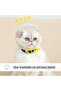 Cat Mouthpiece, Adjustable Cat Hood, Breathable Cat Helmet, Cat Ball Mask, Small Pet - 6