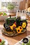 4-Piece Salt and Pepper Shaker Set – Tractor and Rooster Design with Polyester Figures, Salt Shaker, Pepper Shaker, Kitchen Seasoning