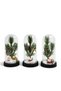 1 Piece Christmas Themed Illuminated Decorative Glass Jar – Desktop Christmas Ornament, Glass Dome 19 X 9 Cm, Holiday Decor Snow Globe - 3