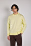 Oversize Crew Neck Basic Knit Sweater