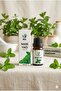 Peppermint Oil 10 ml – Refreshing and Multi-Purpose Natural Care Oil - 2
