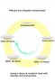 Multi-Purpose Orthopedic Cylinder Pillow Neck Leg Waist Support Pillow 15x50 cm - 3