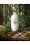 Pine Turpentine Essence 1 kg – Hair & Scalp Care |   Revitalizing & Nourishing Care |   Intense Pine Aroma |   Natural Herbal Essence - 2