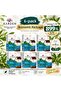 Mersin Aroma Verici 20 ml Economical Pack of 6
