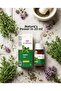 Thyme Oil 20 ml – Natural Care with a Strong Aroma |   Intense Thyme Essence |   Herbal Oil for Aromatherapy & Massage |   Daily Use - 6