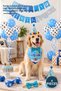 4 Pieces Dog Birthday Party Set – Party Accessory Bandana Hat Balloon Banner, Photography Dog Birthday Kit