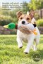 1 Piece Sound Duck Plush Dog Toy – Durable Soft Plush, Internal Sound Mechanism, Hunting Instinct, Squeaky Dog Toy
