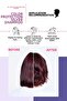 Purple Sulfate-Free Ph 4.5 Shampoo for Blonde and Gray Hair 250 ml - Sulfate-Free Ph 4.5 Color Freeze Silver Shampoo - 4
