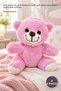 4 Pieces Plush Teddy Bear - Pink Plush 25 cm Soft Fabric Children's Gift Sleeping Companion Plush Teddy Bear Soft Toy