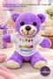 5 Plush Teddy Bears – 25 cm Birthday Gift with Happy Birthday T-Shirt, Purple Soft Plush, Birthday Bear Plush