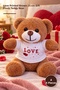 4 Plush Teddy Bears – Brown with Love Printed T-Shirt 25 cm Gift Toy Teddy Plush Bear