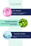 B-12 Revitalizing Brightening Barrier Strengthening Moisturizing Pink Serum 30ml - 3
