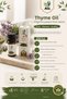Thyme Oil 10 ml |   100% Natural Thyme Essential Oil |   Pure and Without Additives |   Herbal Oil for Aromatherapy, Steam, Massage, and Skin Care - 3