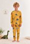 Boy's 100% Cotton Yellow Dinosaur Patterned Pajama Set