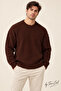 Men's Brown Regular Fit Crew Neck Braided Knitwear - 4