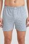 Men's Gray Brush Pattern Single Jersey Boxer