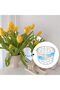 Spiral Ikebana Stem Holder Set,DIY Bouquet Twister for Flower Arrangements,Clear Vase Accessory,2 Pieces (S+L) - 7