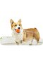 Durable Rubber Multi-Faceted Rhombus Bouncing Dog Ball,Solid Interactive Chew Toy for Teeth Cleaning,Blue - 2