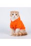 Copy - Cat Dog Clothes Sweatshirt Hoodie