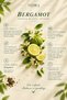 Bergamot Oil Body Lotion B Ergamot Oil Body Lotion 250 ml - 3
