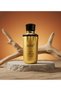 OUD AL QAMAR 101 100ML EDP - 4