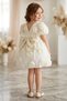 Baby Girl Girl Kid Birthday Party Wedding Dress Short Sleeve Tulle Tutu Tutu Lined - 4
