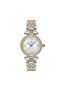 Women's Wristwatch S.Cs386T-02Sg - 2