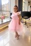 My Little Girl's Luna Ruffle Collar Tailored Evening Dress for Girls - Pink - 2