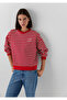 Red Sweatshirt 1S20092-86680