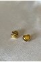 Heart Shape Earrings - 5