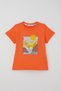 Boy's Shorts Set Summer Themed Palm Tree Printed 3-8 Years Old, Orange - 4