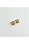 Fanette Steel Earring |   Steel Earrings