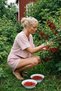 Crinkle Red Striped Shorts ml - 3