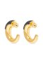 Shiny Crystal Hook Earrings - 3