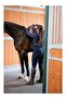 Candela Flextec Leather Full Seat Luxury Women's Riding Breeches - 3