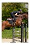 Rodrigo Duragrip Men's Riding Pants - 4