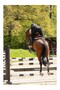 Rodrigo Duragrip Men's Riding Pants - 3