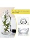6 Pack, 4 oz Small Clear Glass Bottles with Lids & 2 Stainless Steel Funnels - 120ml Boston Rou - 4