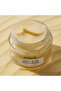 Night Glow Moisturizer - 2