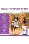 Milk Thistle for Dogs Liver Support, 2 oz - Liquid Milk Thistle Supplement For Kidney and Liver Support with Wild Alaskan Salmon Oil and Moringa Oil - Made in USA - 3