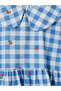 Esvab • Modern & Distinctive Bebe Roba Collar Checked Embroidered Girl's Dress - 4