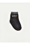 Rmz Gi̇yi̇m Farkiyla Dinosaur Embroidered Baby Boy Socks 5-Piece Set - 8