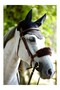 Lamb Wool Nose Strap Protective Covering - 5